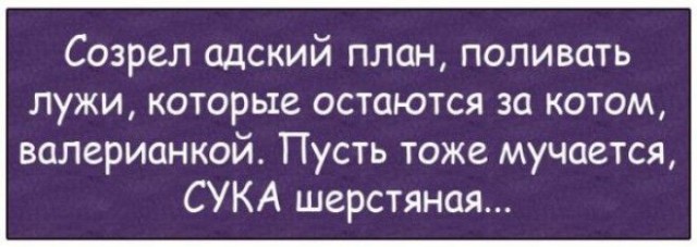 Весёлые картинки