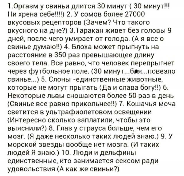 Немного картинок в эту субботу