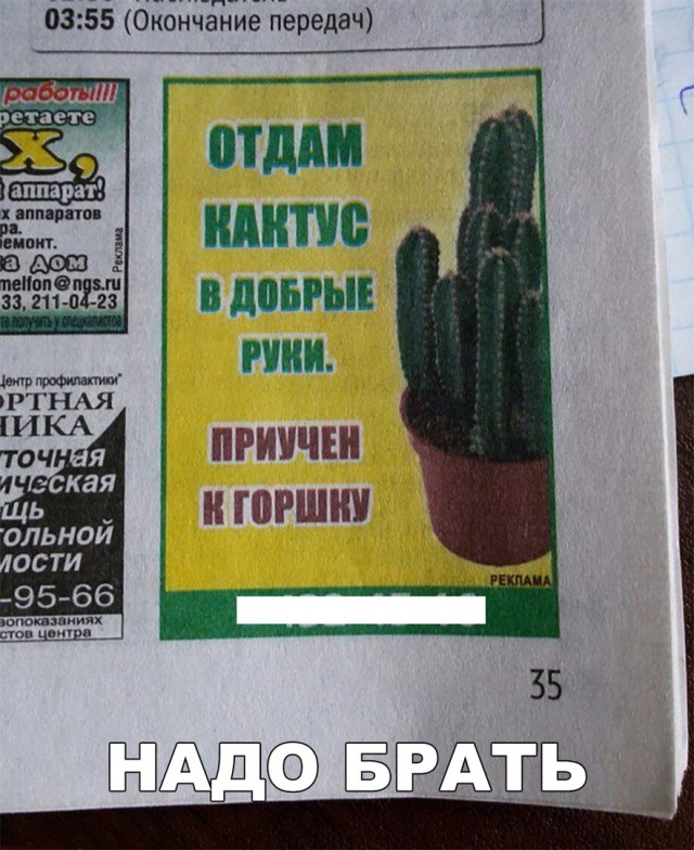 Прикольные картинки обо всём