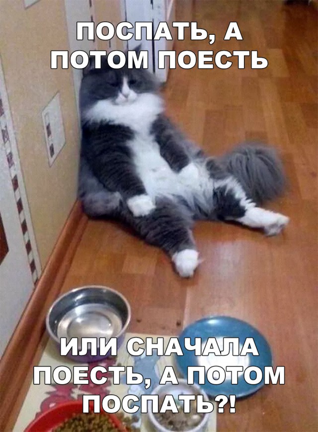 Немного милоты