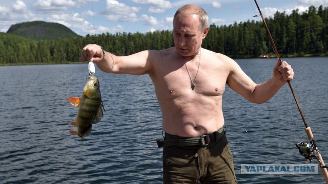 Виды рыбаков.