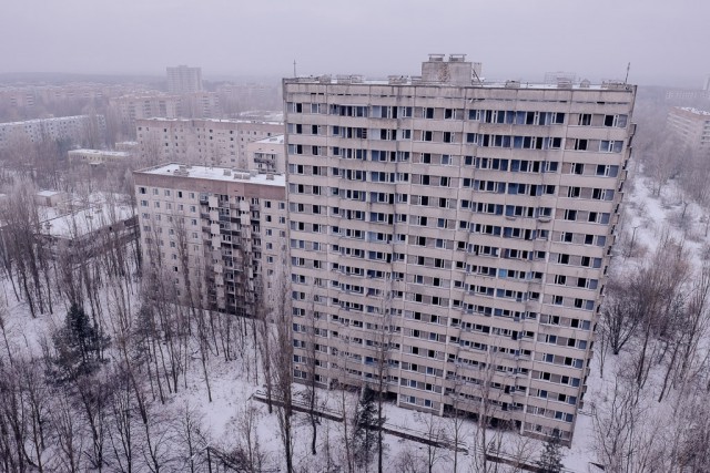 Камеры-ловушки в Чернобыльской зоне показали нечто невероятное