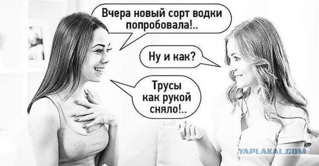Заседание клуба аморалов объявляется открытым