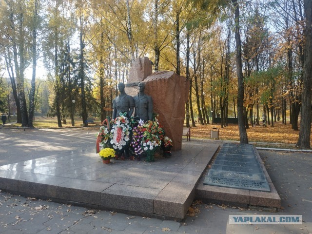 ЯП вокруг света. Германия, Австралия, Китай...