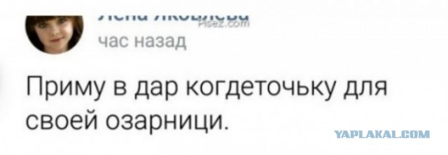 Свинегрет: картинки, надписи и прочее 04.02.20
