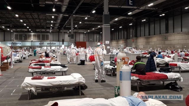 Пандемия. Коронавирус. Россия и мир. Последняя информация. Часть 13