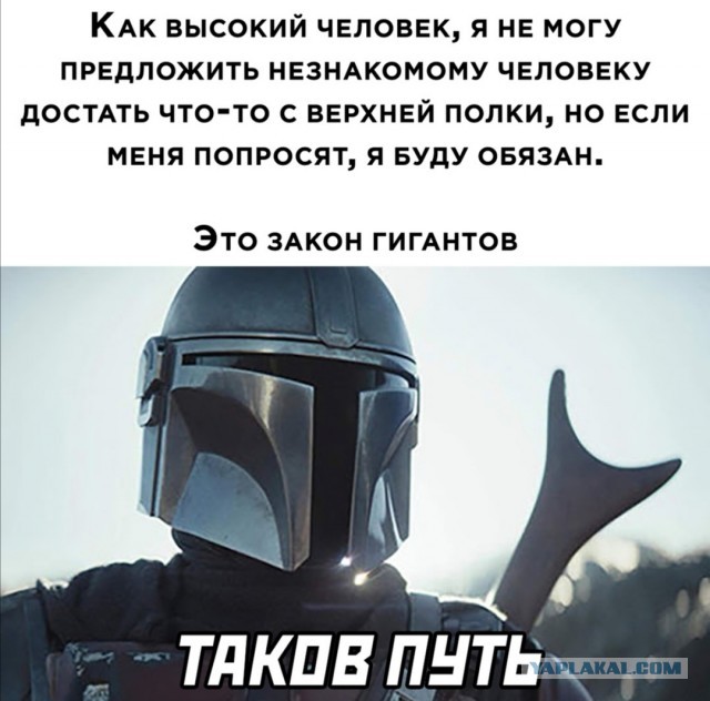 Фотки и картинки: юморные и красивые, забавные и милые 13.11.20