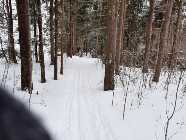 Похмельное утро