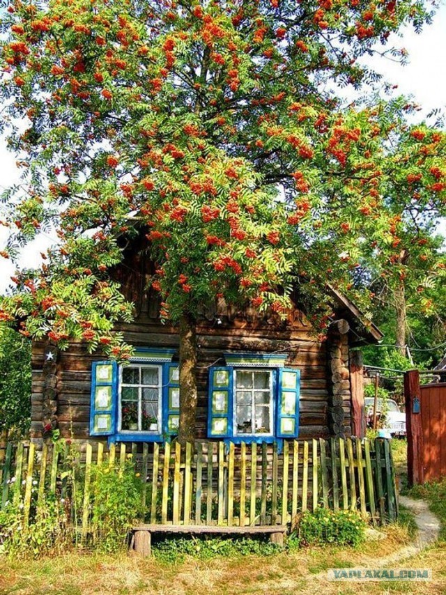 Атмосферные картинки