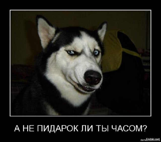 Здравствуйте