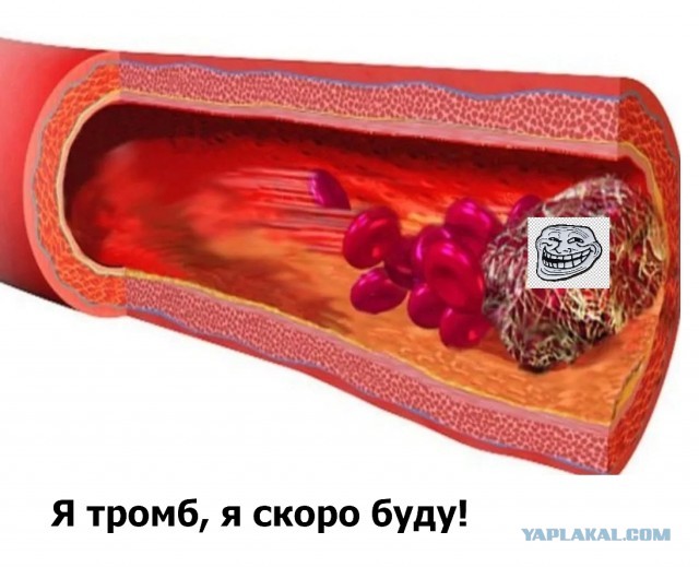 "Не вакцинировался - ждем тебя!"
