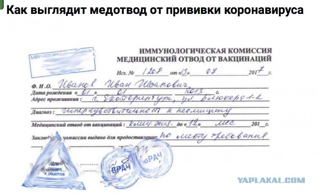 Думский комитет одобрил закон правительства о QR-кодах