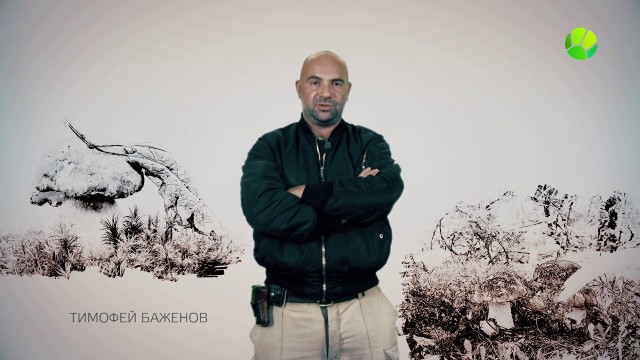 Можно ли выжить в Сибирской тайге?