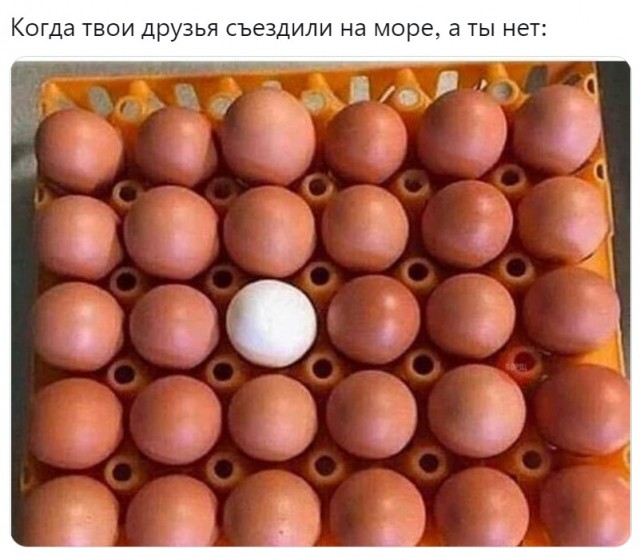 Женский взгляд работницы ЗАГСа на современные отношения