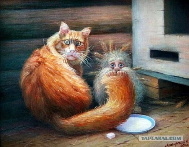 Жизнь домашнего приюта для котеек 409