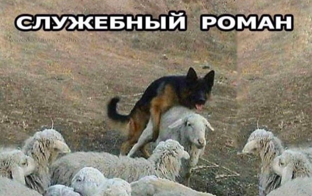 Веселые картNнки