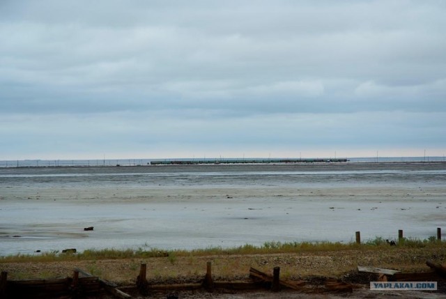 Вот в чем вся соль!