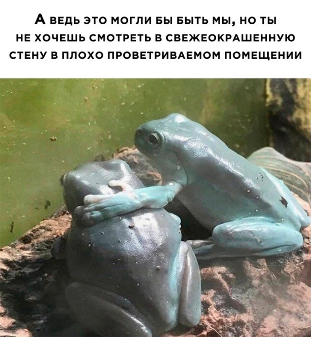 Весёлый полтишок 02.10.22