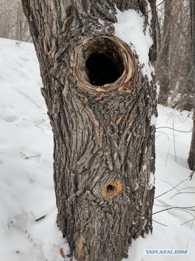 Делюсь фотой благоверной