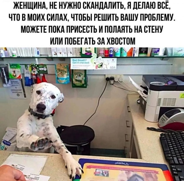 Правильное мнение: Отличие баб от женщин