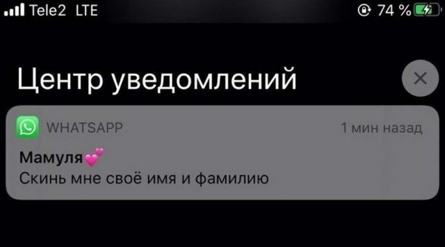 Бояны 8-ми летней выдержки
