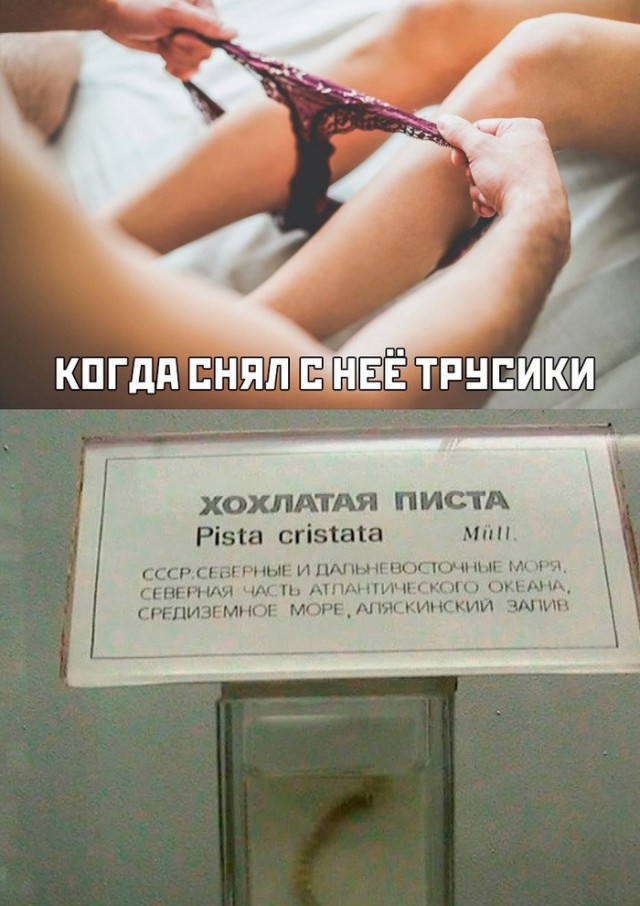 Маленькая пятница.