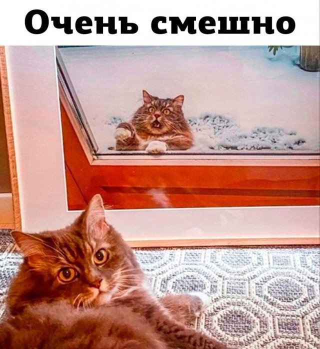 Маленькая пятница