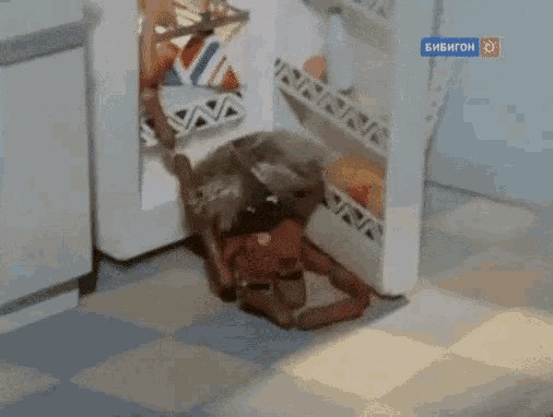 Это может приготовить любая макака