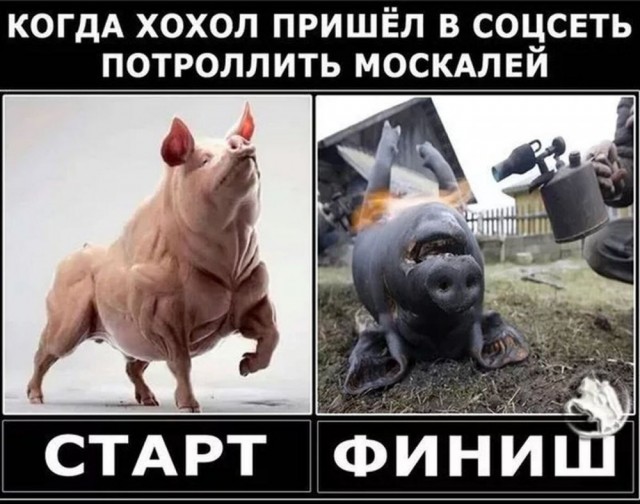 Федор Емельяненко высказался о военном конфликте между Россией и Украиной.