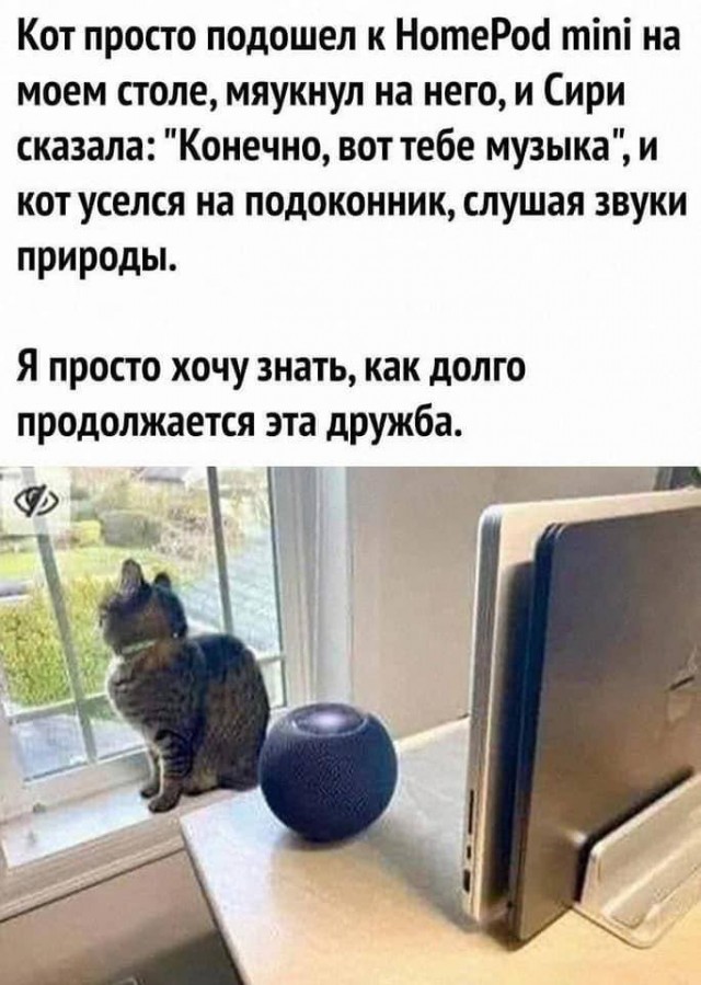 ТРРРидцать тРРРи от 7 мая