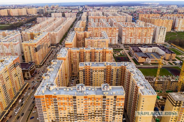Кто из Ставрополя?