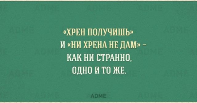 Мифы и особенности русского языка