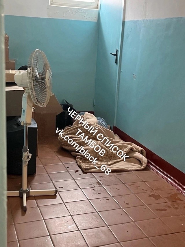 В нашем доме появился замечательный сосед