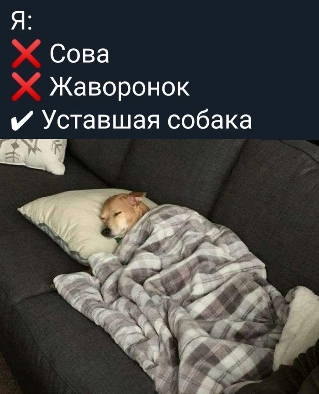 Так себе картинки 31.10.24