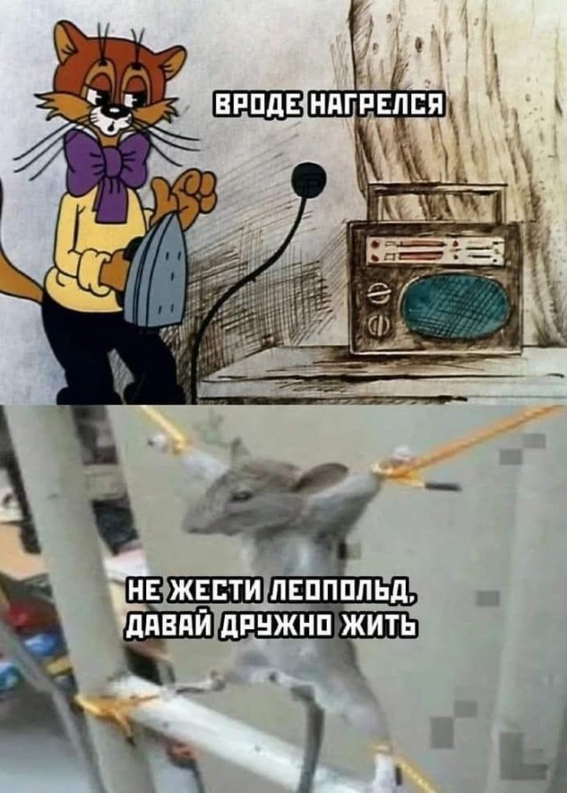 Забавные картинки, шутки из этих ваших интернетов