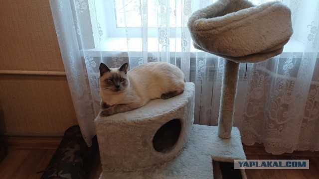 Было — Стало