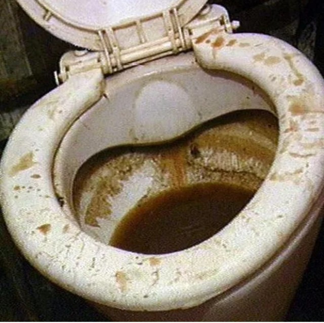 Почему надо добавлять кофейную гущу в унитаз. Запомните на всю жизнь!!!