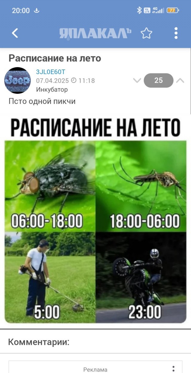 Расписание на лето