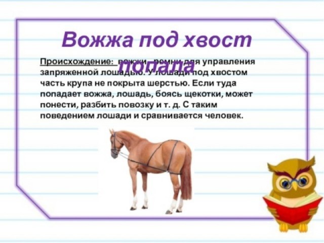 Большая подборка баянов разной степени свежести