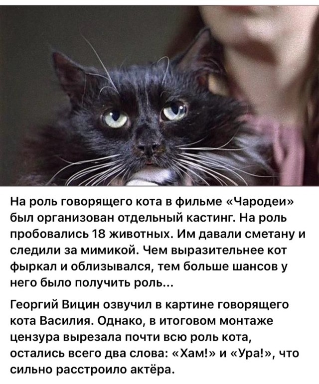 Интересные снимки известных людей 28.07.25