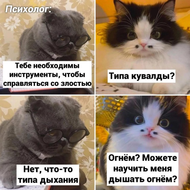 Картинки для деградации 70 (разной степени свежести)
