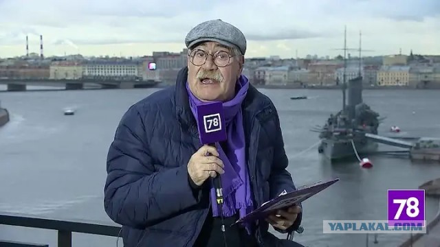 Так что же случилось с Enjoykin?