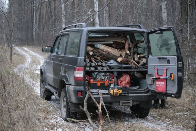 Живём в тайге