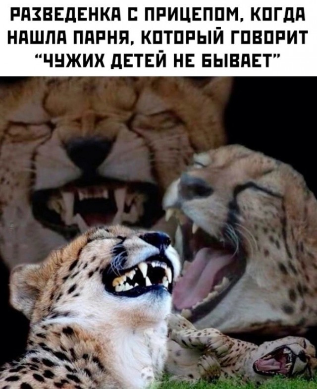 Немного пошлой деградации