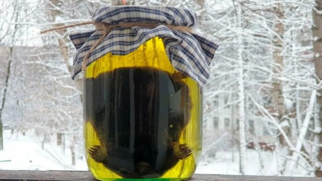 Съедобные мухоморы.