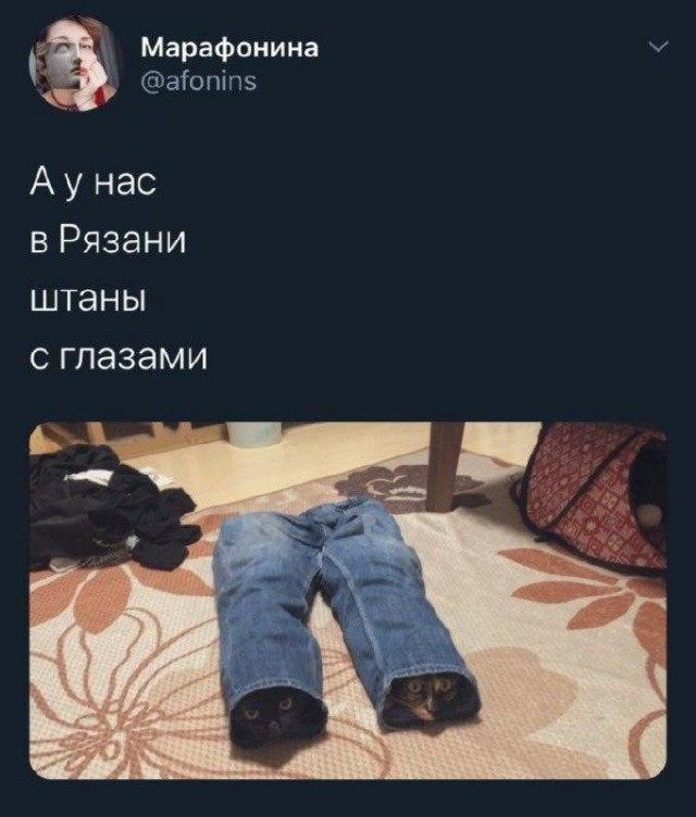 Картинки для деградации 197 (разной степени свежести)