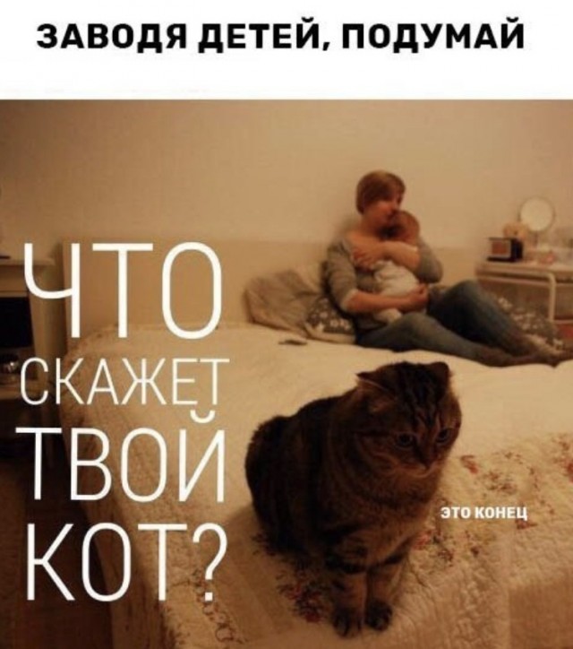Так себе картинки 22.06.26