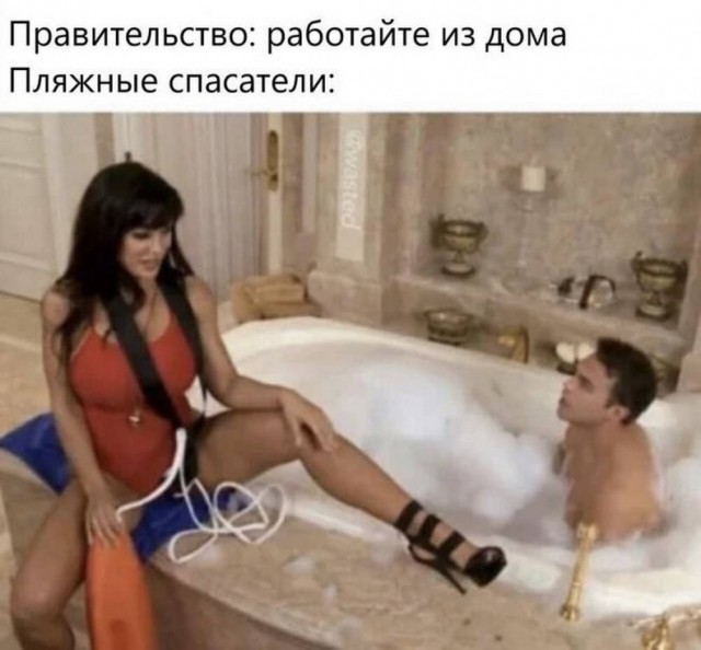 Веселые картинки в последний день лета (31.08)