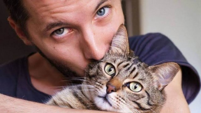 Кошки делают людей счастливее