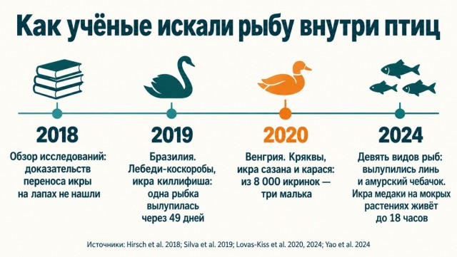 Откуда берётся рыба в прудах, куда её никто не запускал?